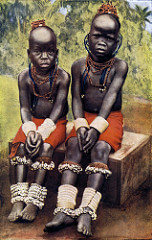 Jared Diamond Explains Why Civilizations Fail