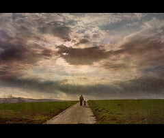 Prospects for Future Fundamental Growth