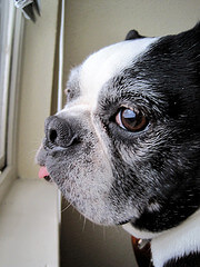 Creating Wealth #253 with Jack Waymire