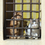 401k Jail: What To Do When You Are Stuck Investing In Stocks