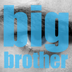 10 Reasons Big Brother’s Economic Recovery is NOT Happening