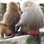 Our Investment Property Strategy Doesn’t Require Picking Bottoms