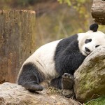 A different type of internet marketing