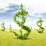 Don’t invest – create wealth