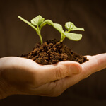 Deal Evaluator – dirt cheap real estate advice