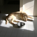 Real estate…patience, patience, patience