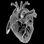 The dark heart of Wall Street.