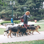 Service industry anyone?