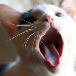 Don’t believe the hype.