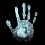 Did you hear about The Crime of the Century?