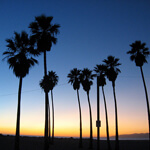 They’re melting in California.