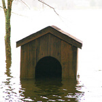 Why the best deal isn’t always.