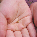 Jason says: The safest investment is a DIRECT INVESTMENT!