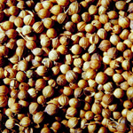 CW 43: The Seeds Of Success with Og Mandino & Fending Off An IRS Attack with Peter DeGrgori & Richard Lillycrop