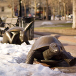 A tale of two economies.