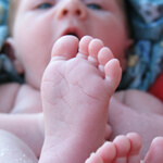 Get rich from the high birth rate