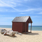 Pick Your Niche for Online Marketing Success