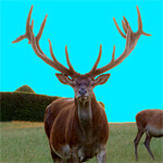 How to Survive Stagflation – With a Profit in Your Pocket