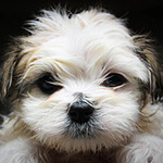 This is NOT What We Mean By Packaged Commodity Investing