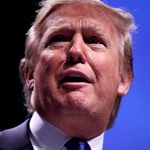 Foreclosures, by Donald.