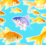 DIFFERENTIATE OR DISAPPEAR