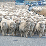 The Evils of Collectivism