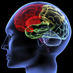 The interview – what’s in your brain?