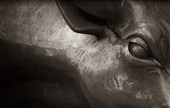 IPO Cancellations Illustrative of Wall Street’s Feeble Future?