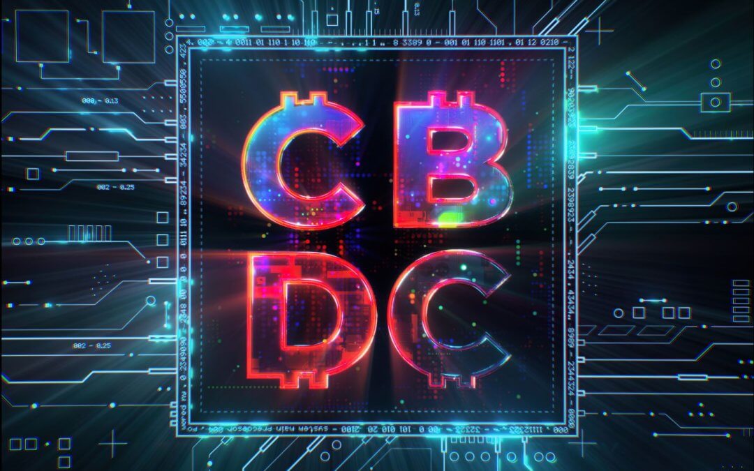 2162: Digital Currencies & Control: Navigating Privacy in a Cashless World & Building Resilient Financial Strategies with Catherine Austin Fitts Part 2