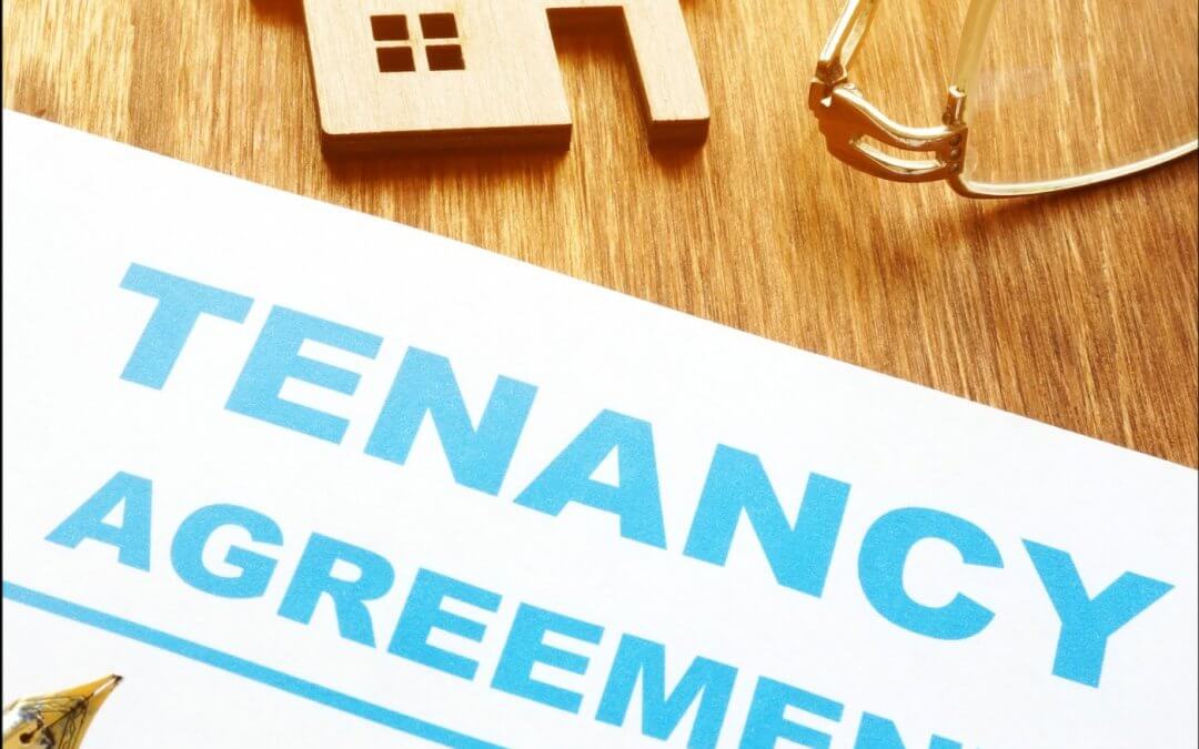 2163 FBF: Mini Client Case Studies