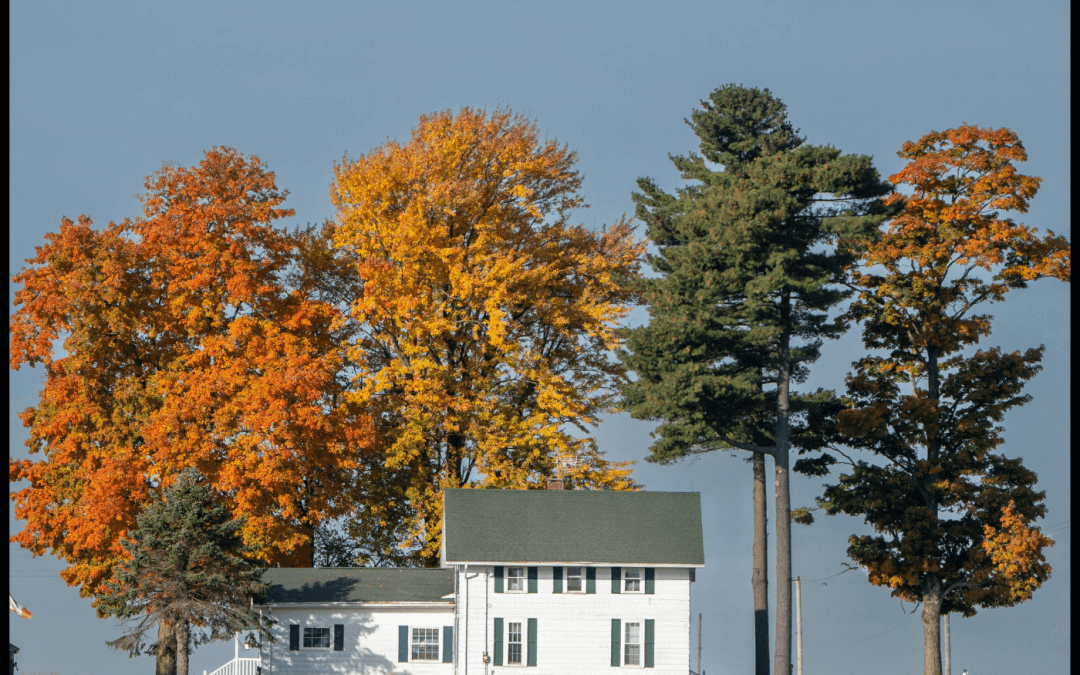 2389: Co-Living Real Estate and the Rent-to-Value Ratio: How to Generate $7,200 Monthly from a Single-Family Home | Q & A Rebel Capitalist