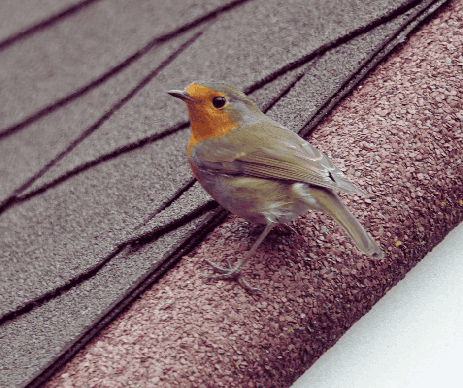 Asphalt Roof Replacement Cost in Salem Oregon: 2026 Guide