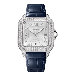 Santos de Cartier Watch HPI01687