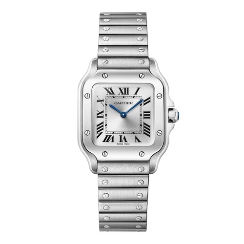 Santos de Cartier Watch WSSA0082