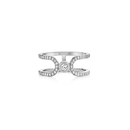 Michael M Link Ring F359PV