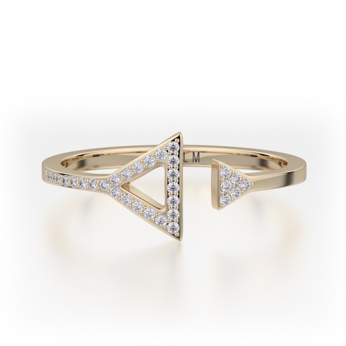 Michael M M Ring F315