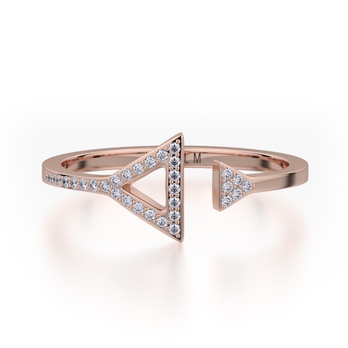 Michael M M Ring F315