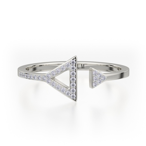Michael M M Ring F315