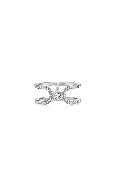 Michael M Ring F359PV