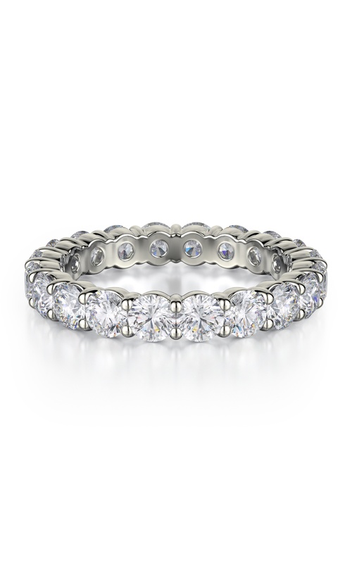 Michael M Ring B800-3