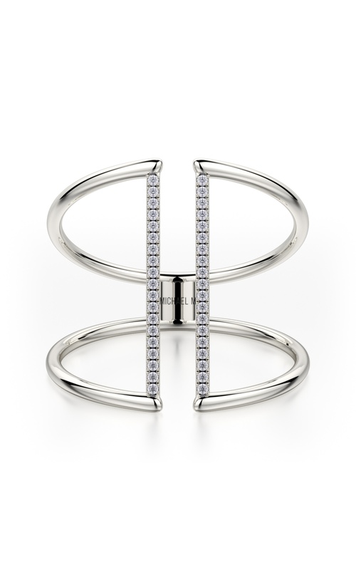 Michael M Ring F288