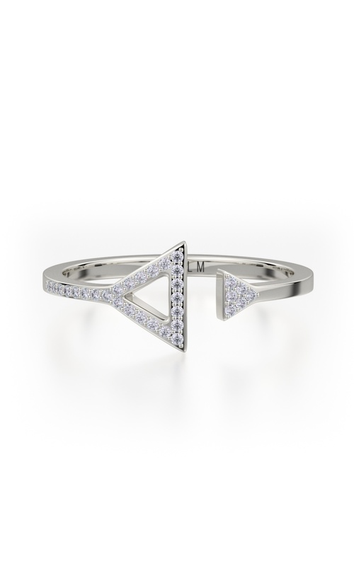 Michael M Ring F315