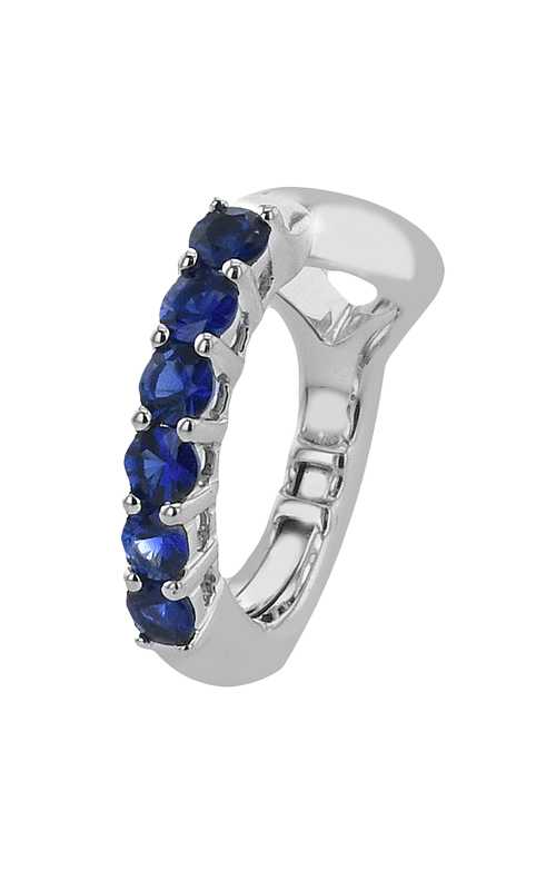 Simon G SG Earrings LE4624