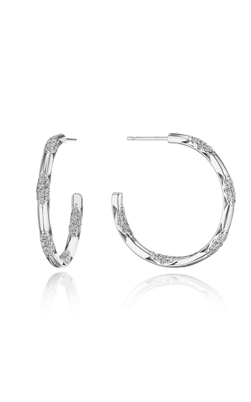 Hoop Earrings, Pulse 34mm