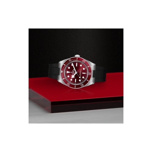 TUDOR undefined in Stainless Steel M7939A1A0RU-0003 at Exclusively Diamonds