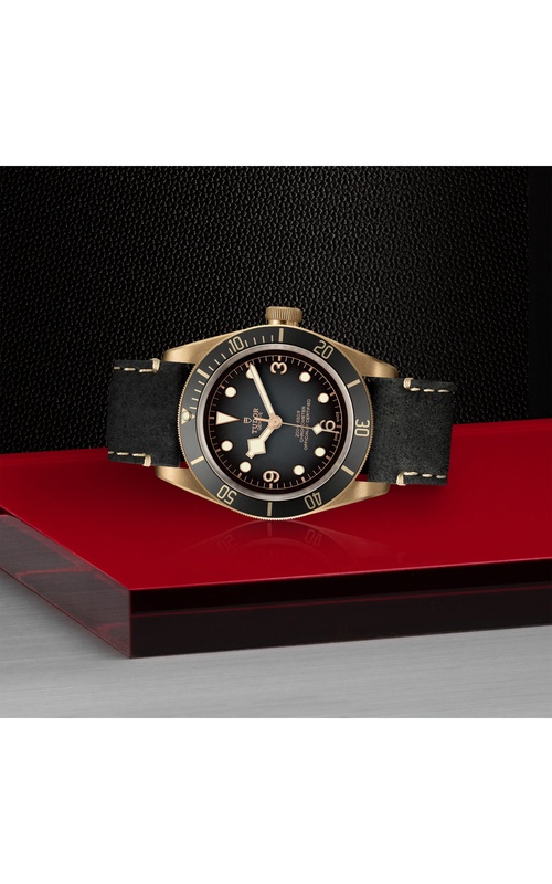 TUDOR undefined in Bronze M79250BA-0001 at Exclusively Diamonds