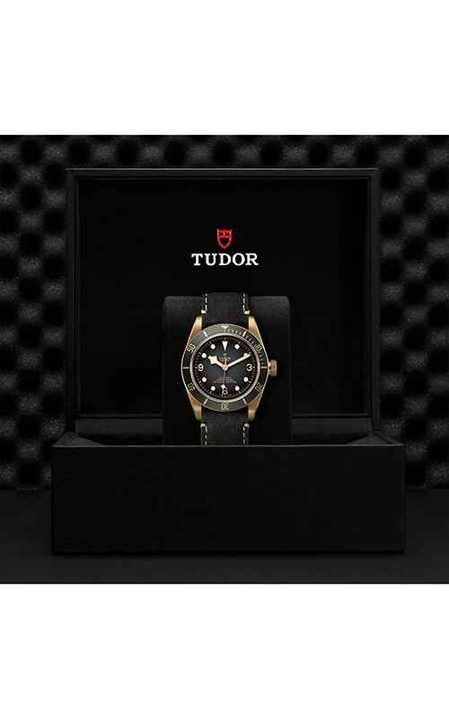 TUDOR undefined in Bronze M79250BA-0001 at Exclusively Diamonds