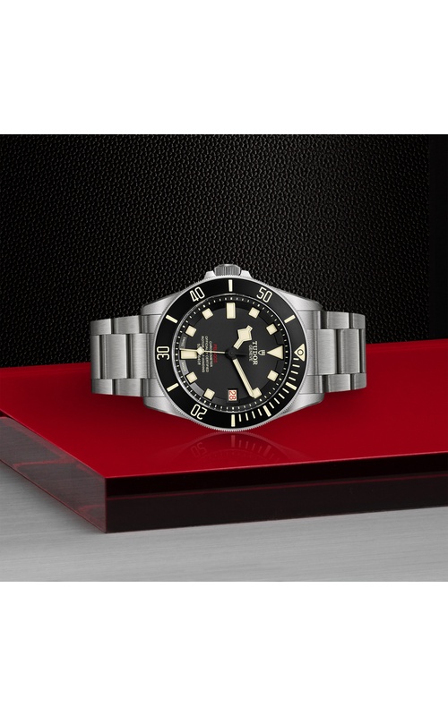 TUDOR undefined in Stainless Steel, Titanium M25610TNL-0001 at Exclusively Diamonds