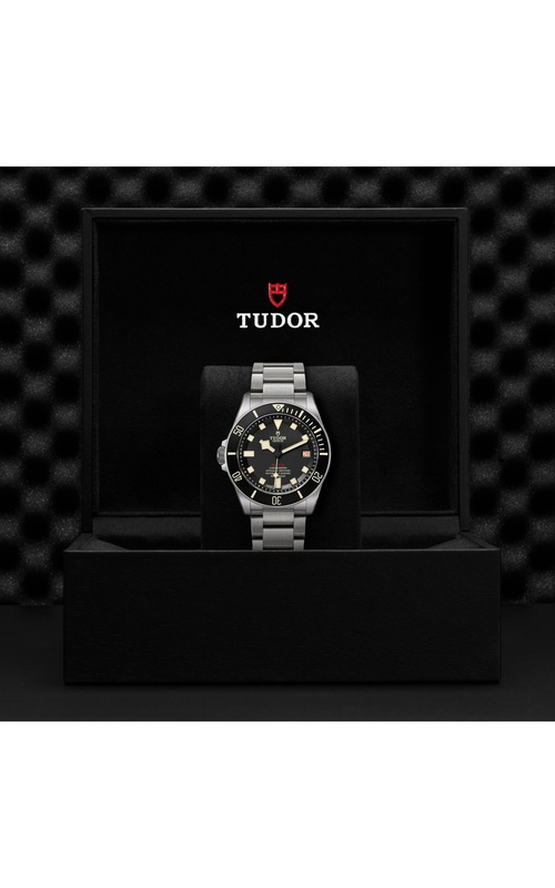 TUDOR undefined in Stainless Steel, Titanium M25610TNL-0001 at Exclusively Diamonds