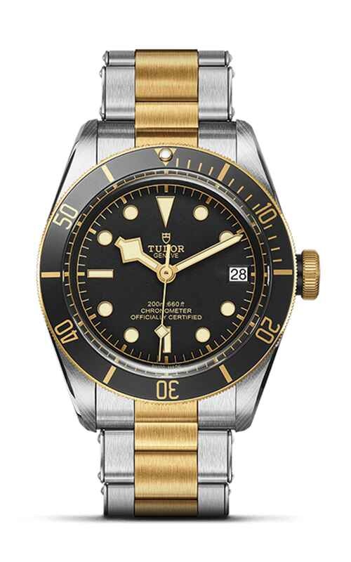 TUDOR Black Bay Watch M79733N-0008